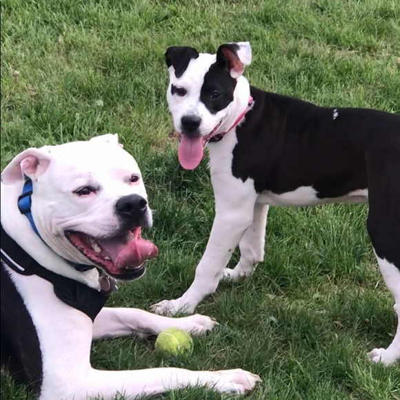 Meet your Posher, Heather - Picture 2 of 7